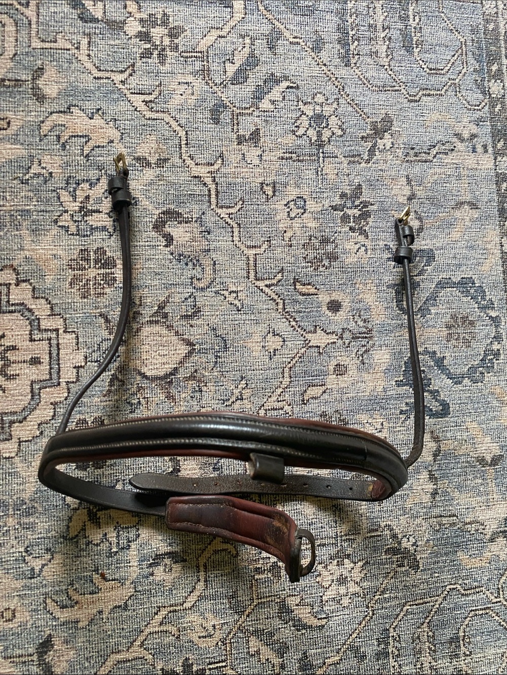Leather Padded full horse size noseband with brass